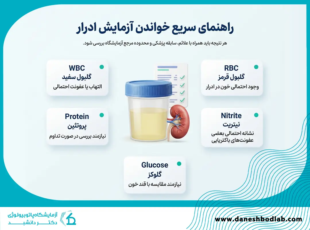 تفسیر آزمایش ادرار؛ جدول WBC، RBC، Protein و Nitrite