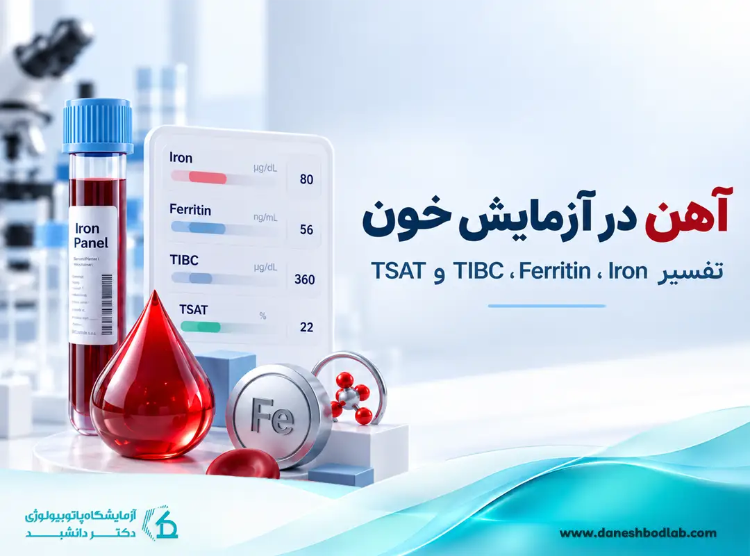 آهن (Iron) در آزمایش خون چیست؟ رنج نرمال و تفسیر نتیجه