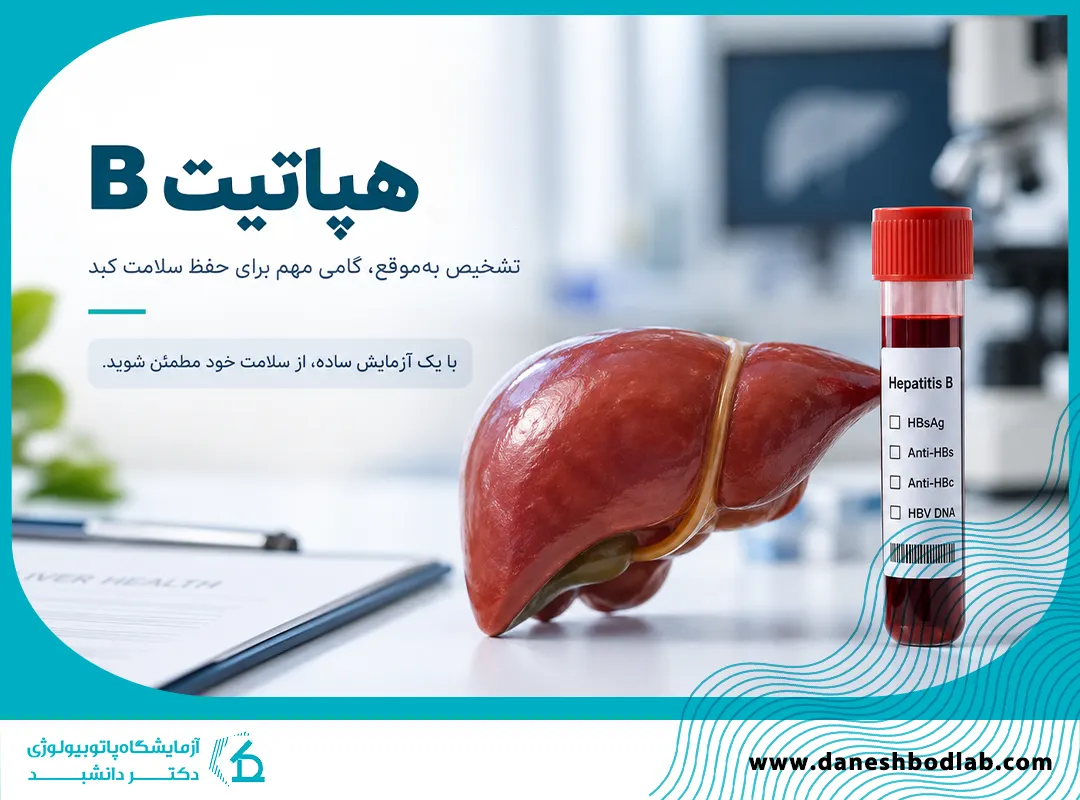 هپاتیت B چیست؟ | علائم، آزمایش خون، تفسیر HBV PCR و واکسن