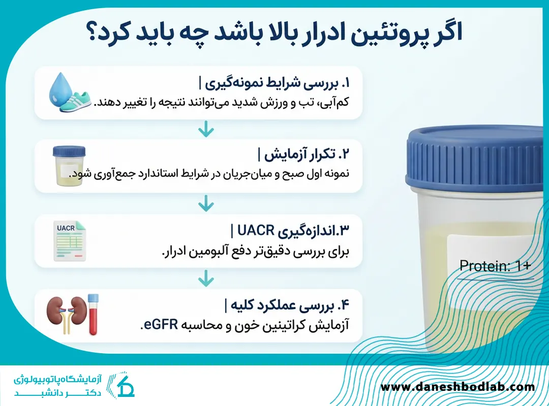 پروتئین ادرار بالا در آزمایش