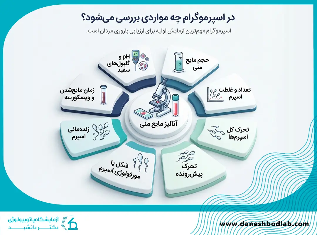 در اسپرموگرام چه مواردی بررسی می‌شود