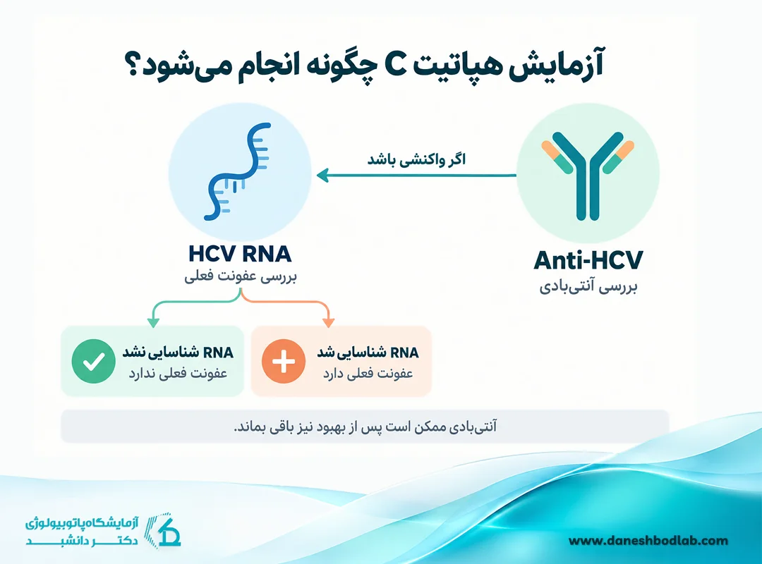 آزمایش هپاتیت c