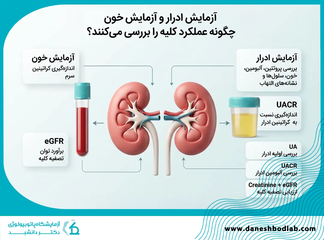 تفاوت UACR، کراتینین و eGFR