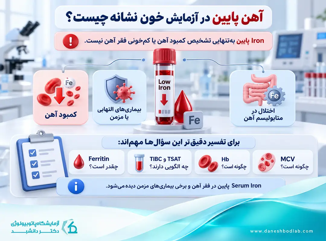علت پایین بودن Iron در آزمایش خون