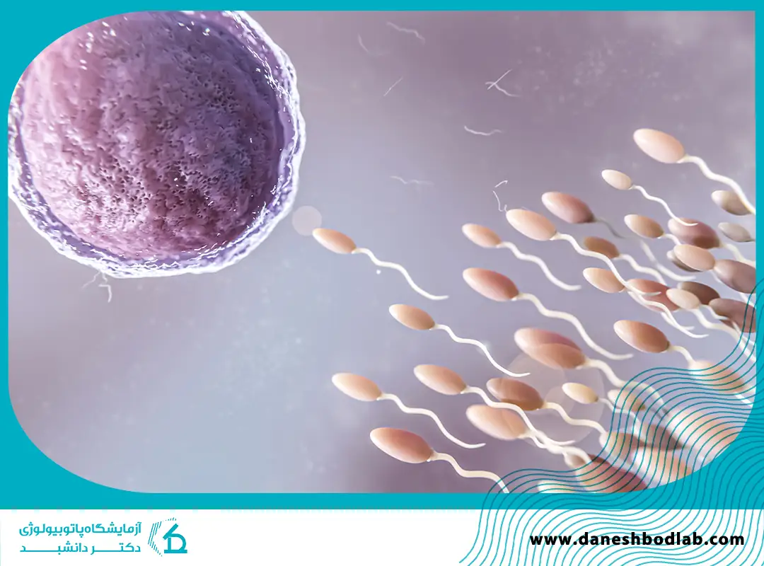 تفسیر آزمایش اسپرم