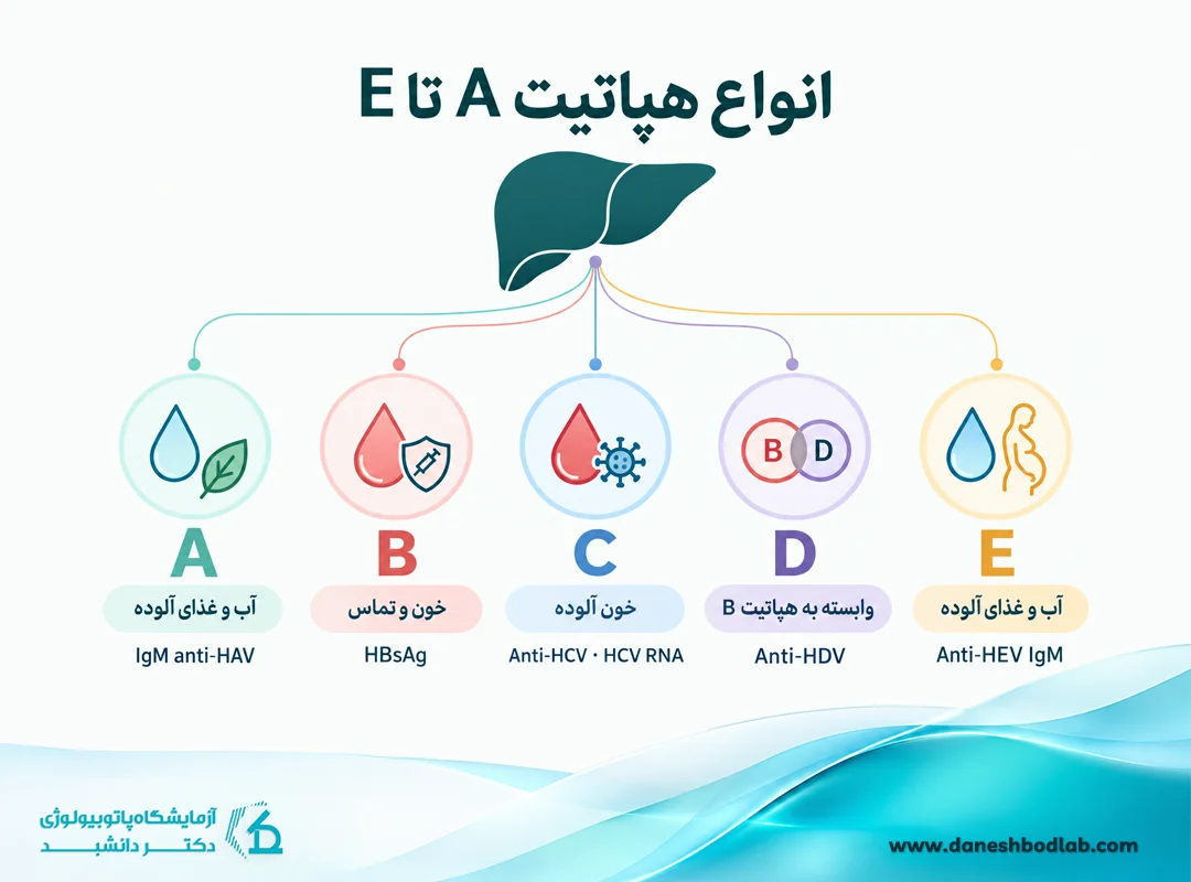 انواع هپاتیت