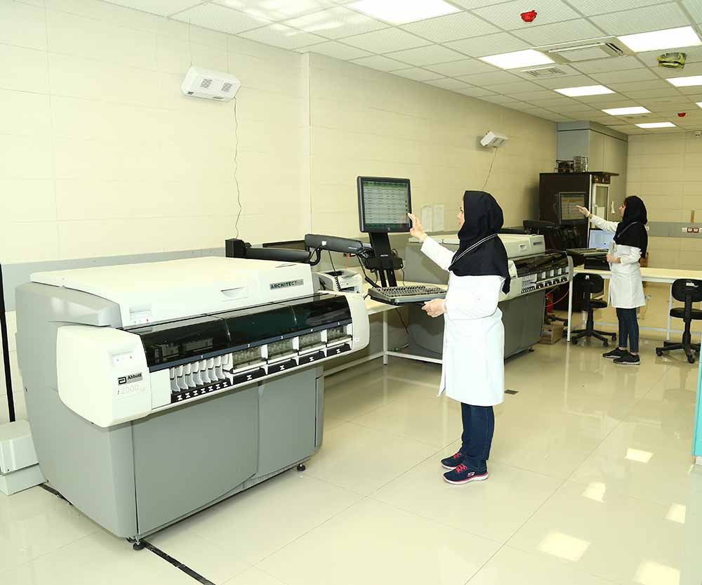 قسم الهرمونیة