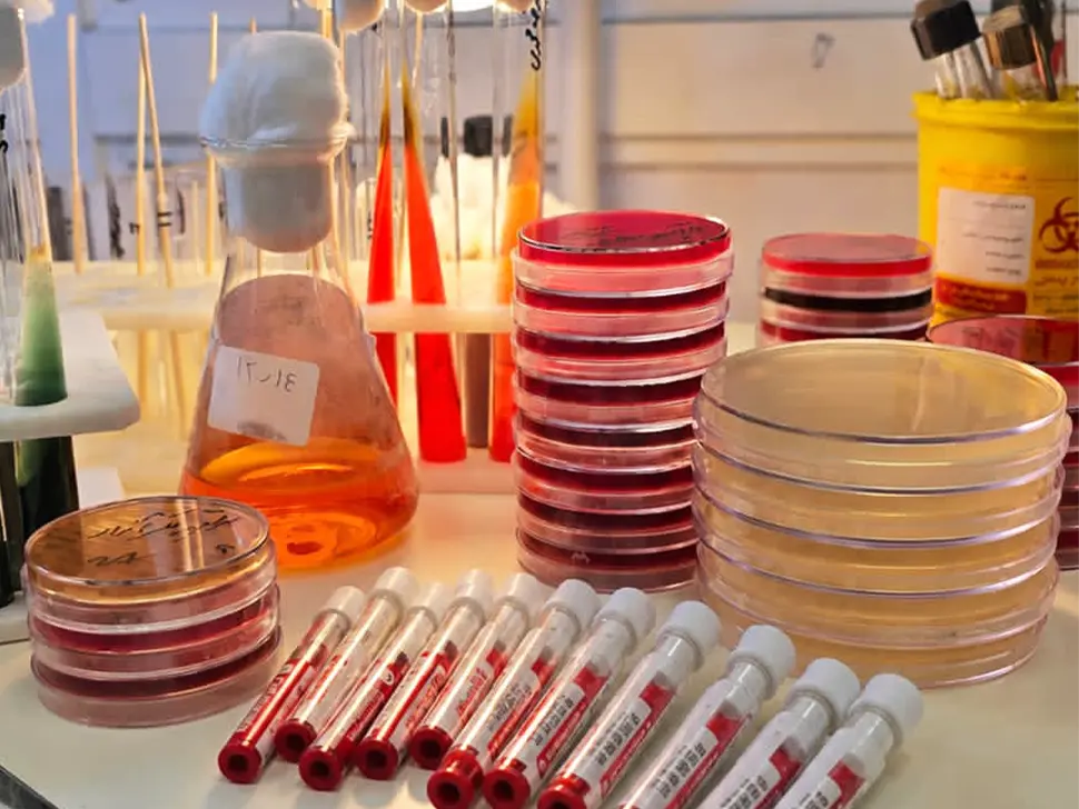 Microbiology Department